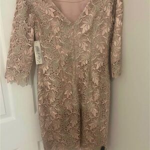 Eliza J Lace Dress in Soft Pink